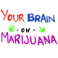 Brain On Marijuana :) Sticker/Decal
